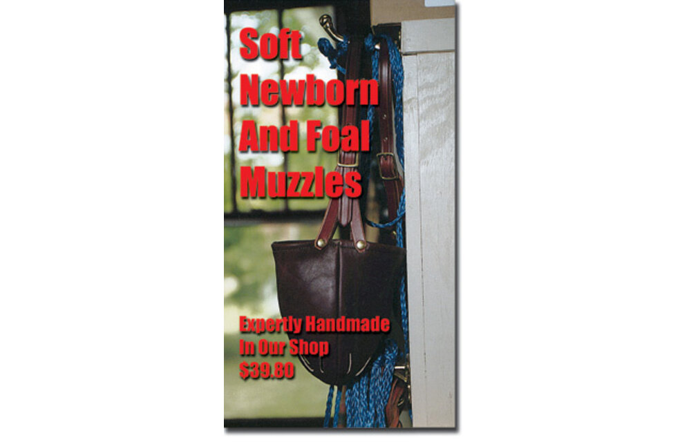 Newborn & Foal Halter