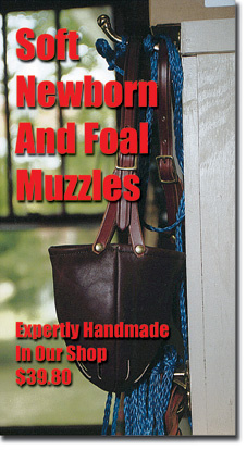 Newborn & Foal Halter