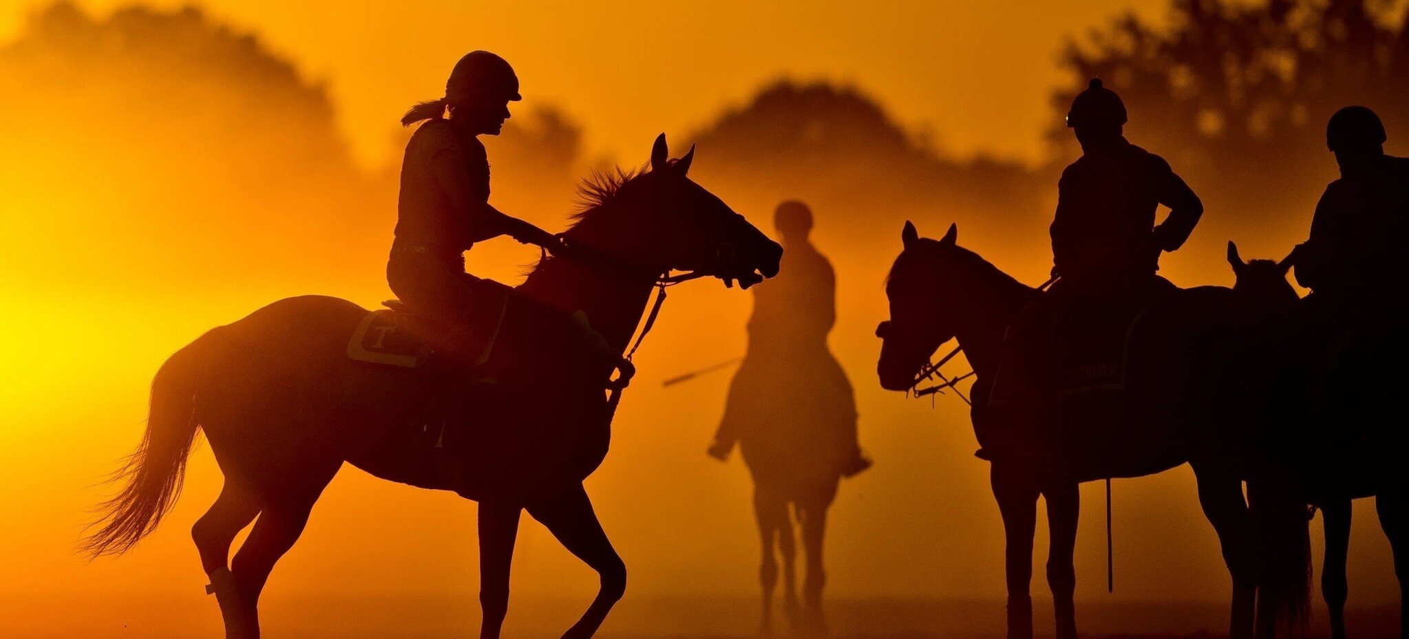 The Halter of Choice for top Kentucky Trainers