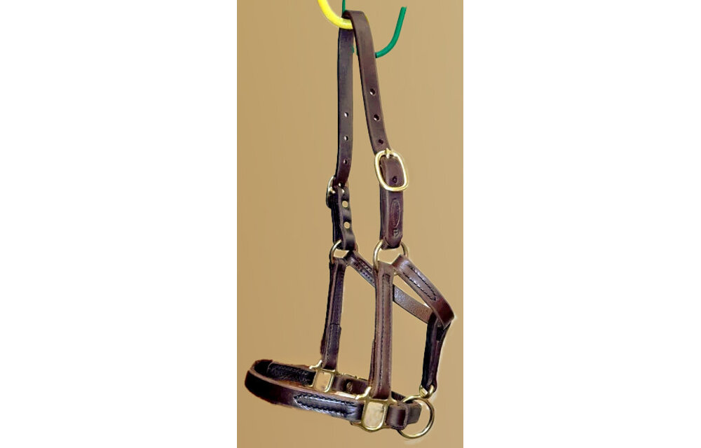 Newborn & Foal Halter