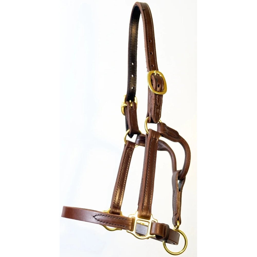 Quillin Classic Sale Halter with single-ply noseband and adjustable chin
