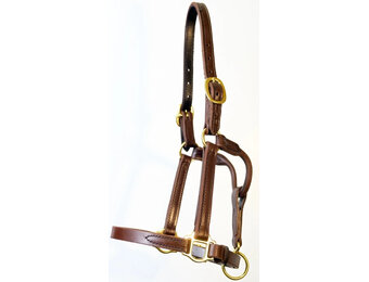 Classic  Sale Halter