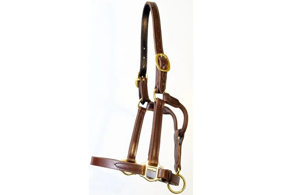 Classic  Sale Halter