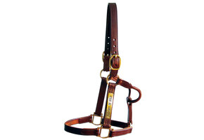 Track Halter