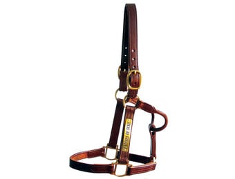 Track Halter