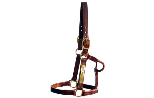 Track Halter