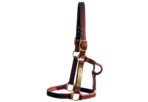 Track Halter