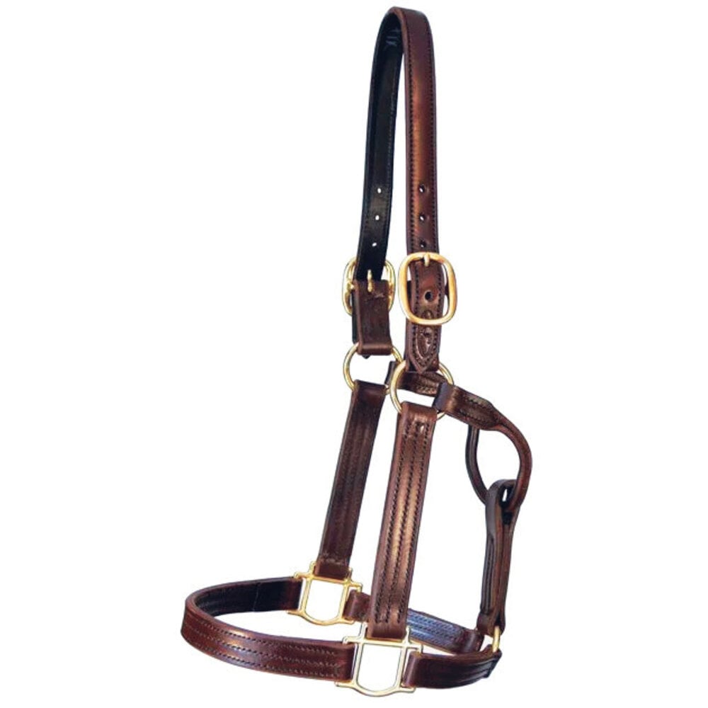 Quillin Track Halter in heavy English bridle leather with lined crown