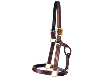 Track Halter