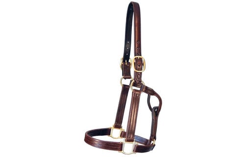 Track Halter