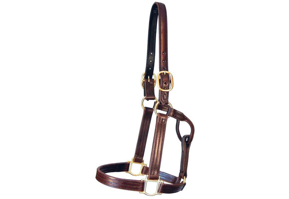 Track Halter