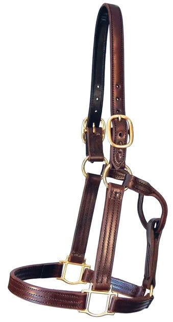 Track Halter