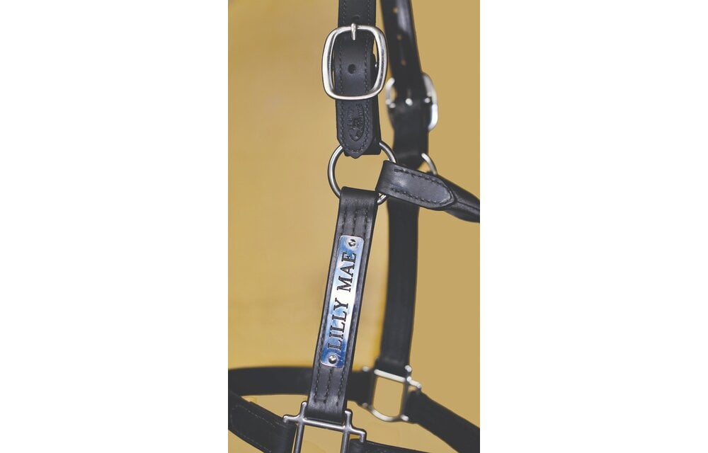 Track Halter