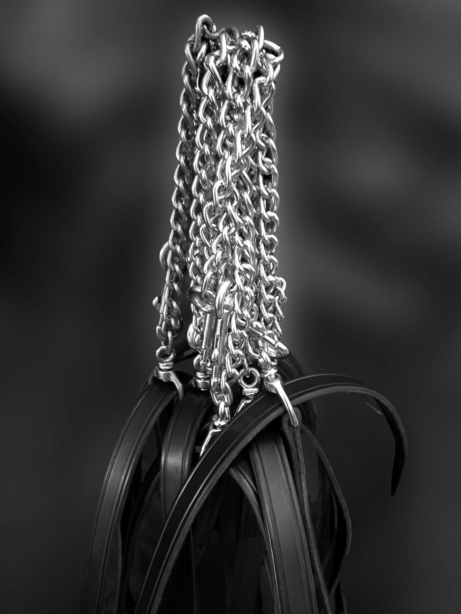 Leather Stallion Shank