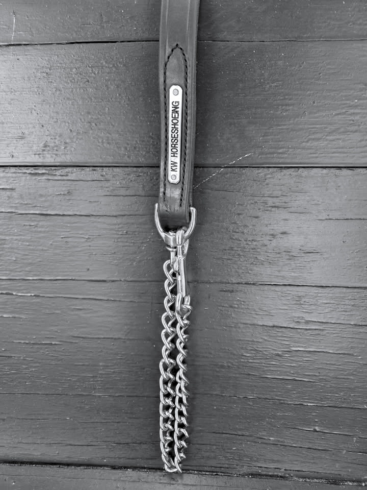 Black and Stainless Lead Shanks