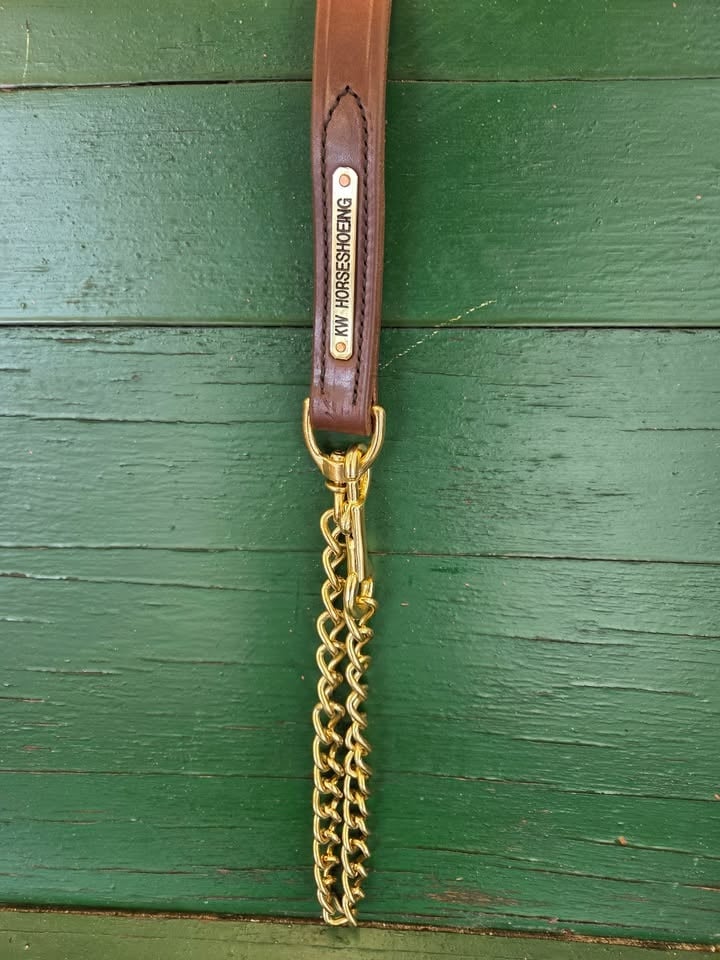 Leather Lead Shank