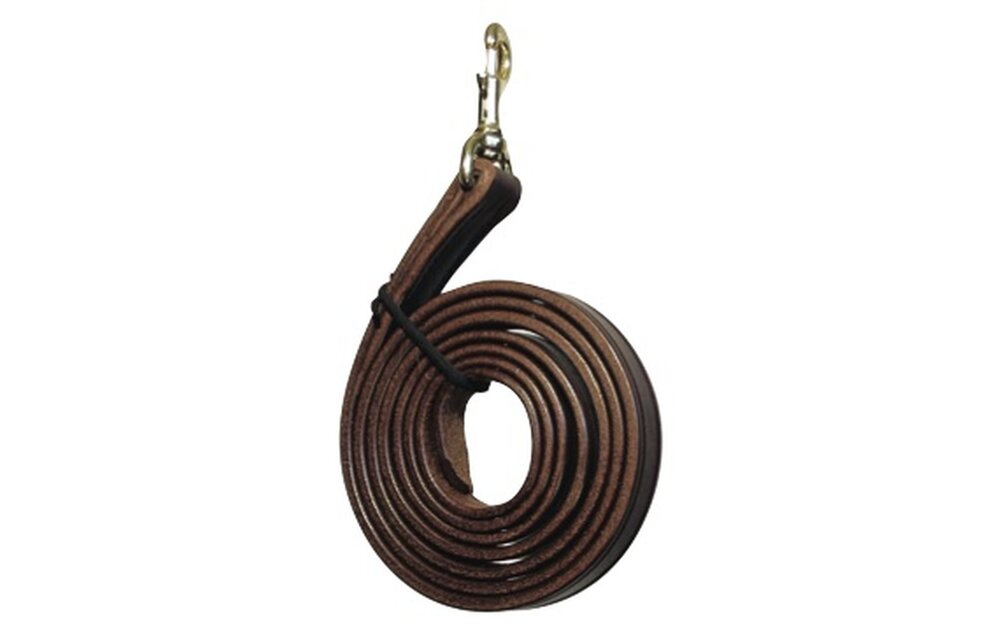 Leather Lead Shank