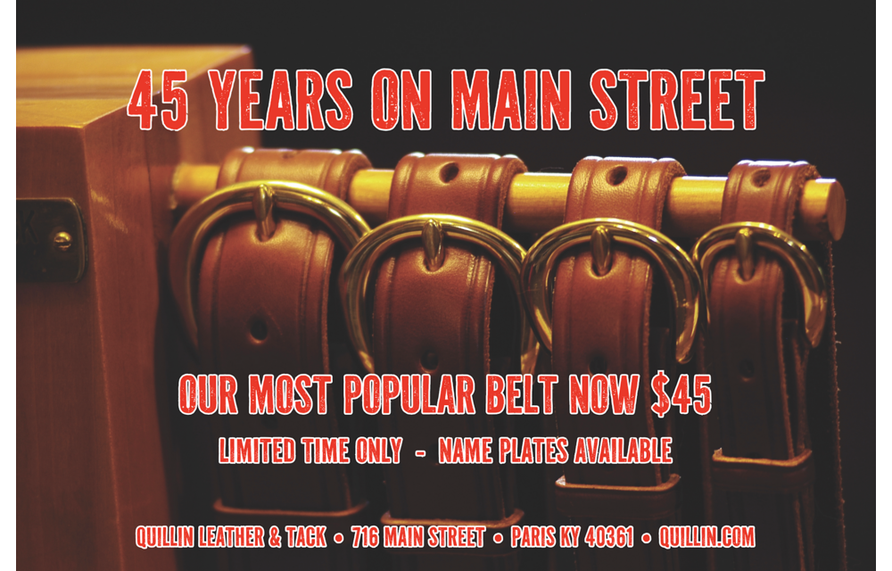 SPECIAL 1 1/4 inch Creased Halter Belt