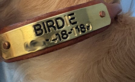 Re-ink Name Plates