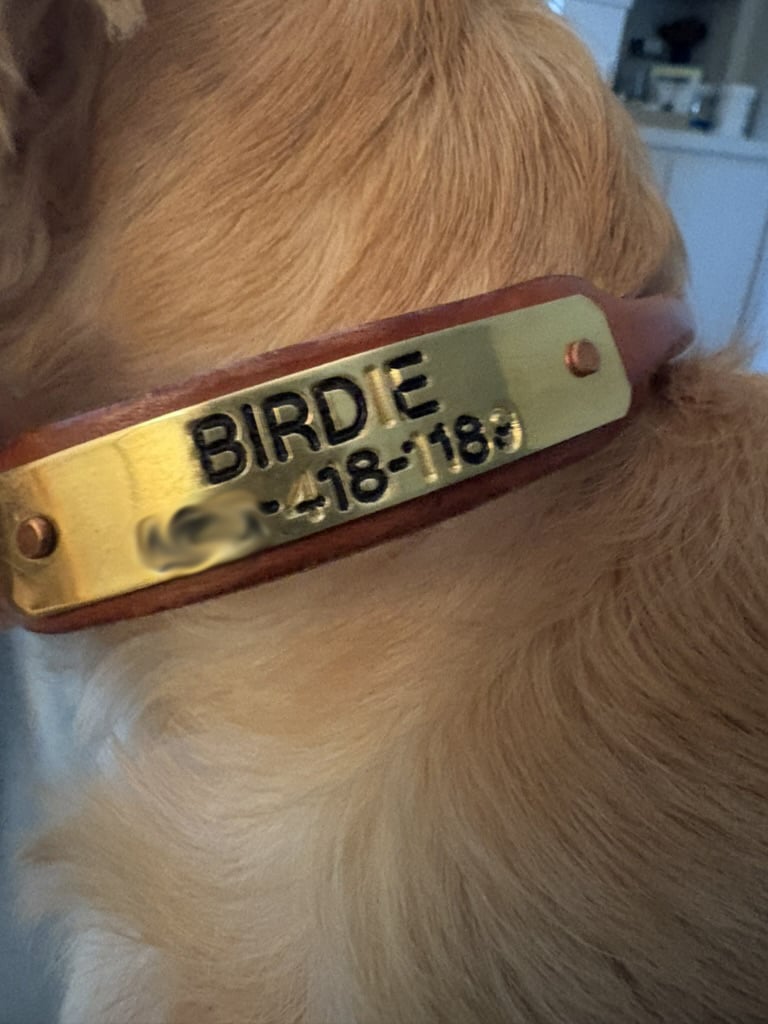 Re-ink Name Plates