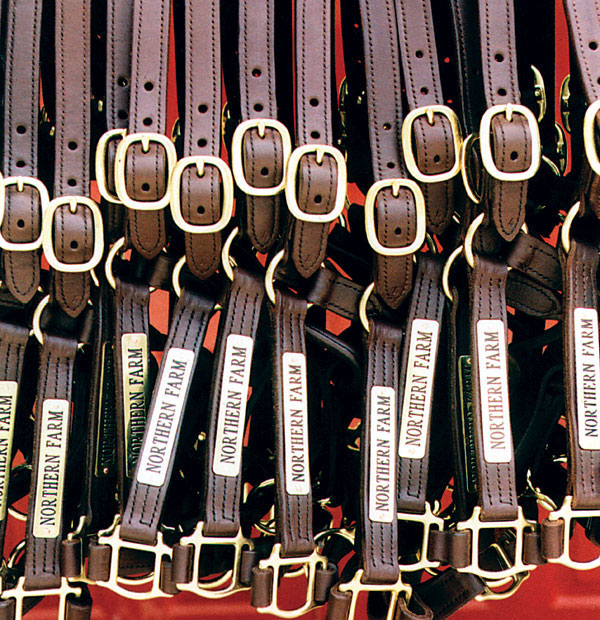 Quillin Halter Size Quillin Leather & Tack, Inc