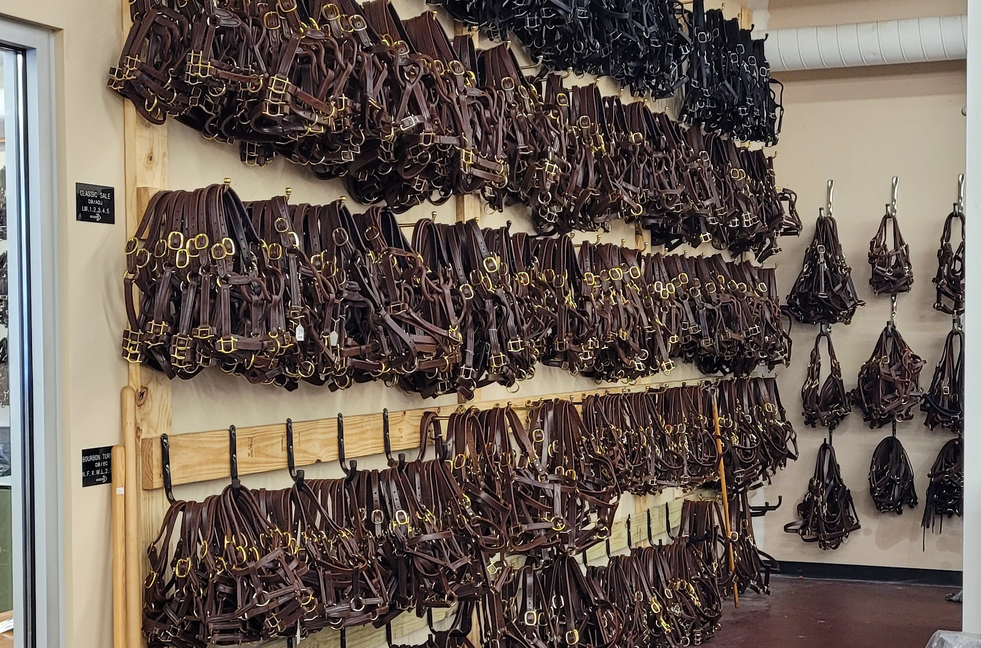 Sale and Turnout Halters