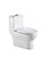 Toilette monopièce DN-153