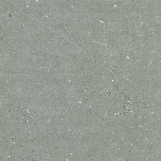 Porcelain Tile Empire Grey Matte 24x24 (16pi2/Box)