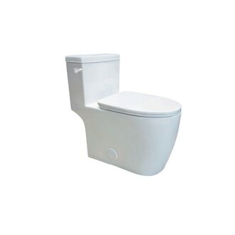 One-Piece Toilet Viktor