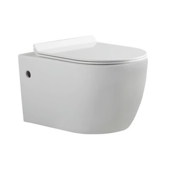 Toilet suspendue Double chasse Blanche with Plate de contrôle Black Vekto