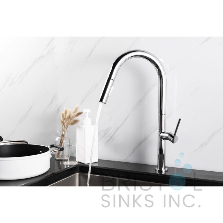 Kitchen Faucet Collection Vergara Chrome Bristol