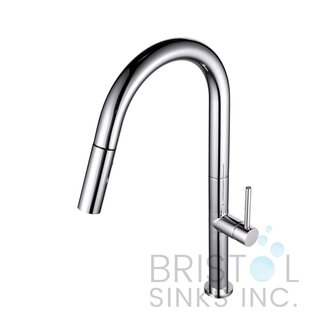 Kitchen Faucet Collection Vergara Chrome Bristol