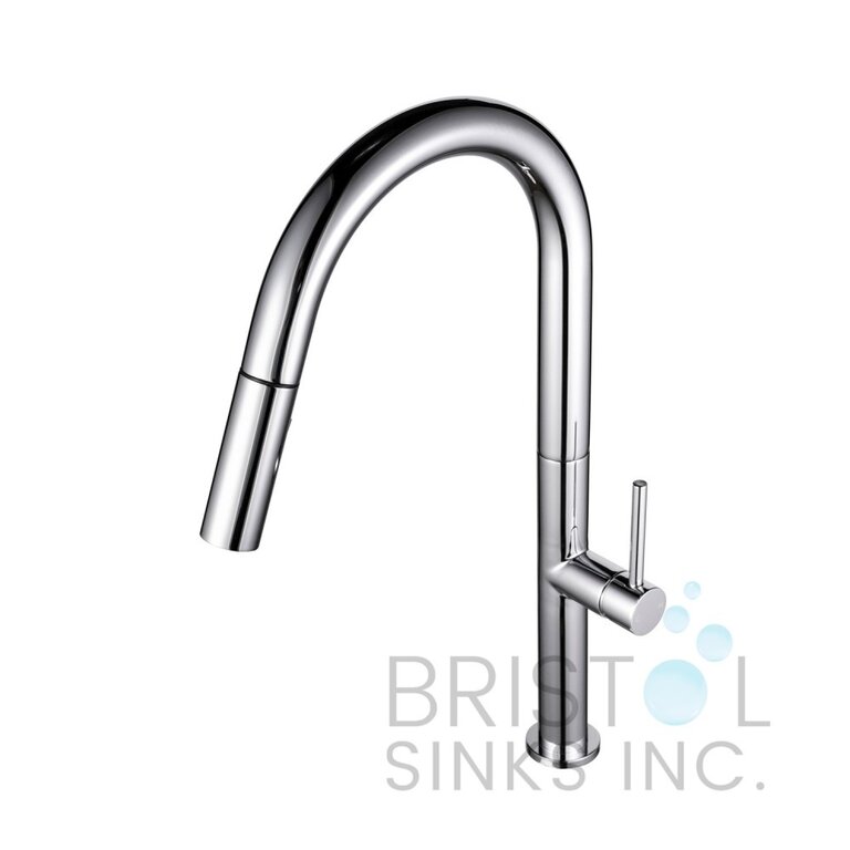 Kitchen Faucet Collection Vergara Chrome Bristol