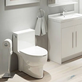 One-Piece Toilet Boris