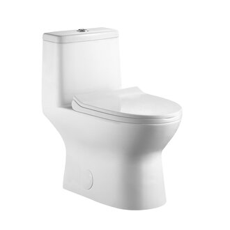 Toilette monopièce drain à 10''