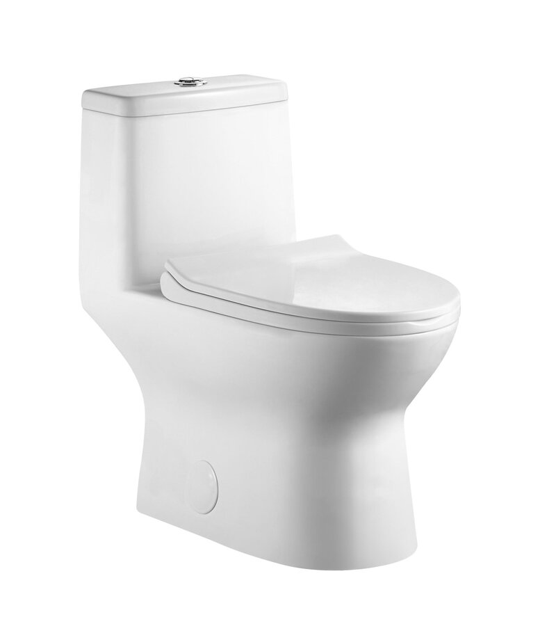 Toilette monopièce drain à 10'' MN-310