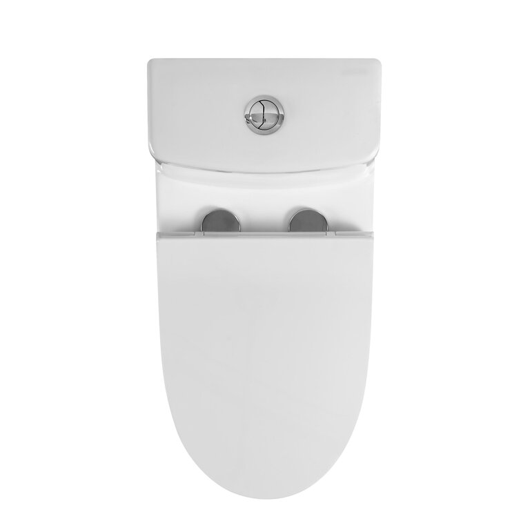 One-piece toilet with 10'' drain MN-310