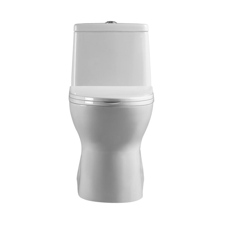 Toilette monopièce drain à 10'' MN-310