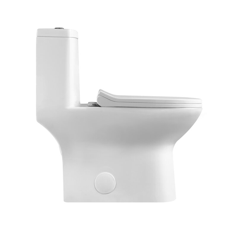Toilette monopièce drain à 10'' MN-310