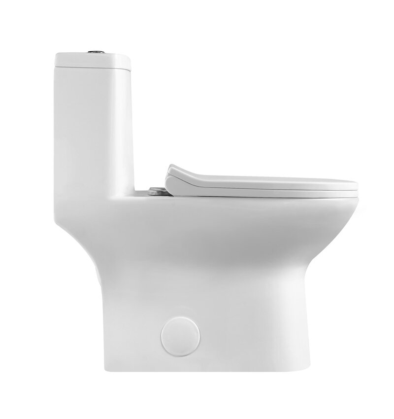 Toilette monopièce drain à 10'' MN-310