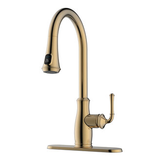 Sofia Akuaplus kitchen faucet
