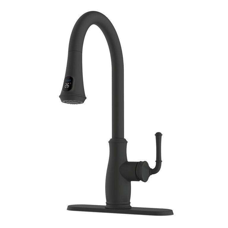 Sofia Akuaplus kitchen faucet