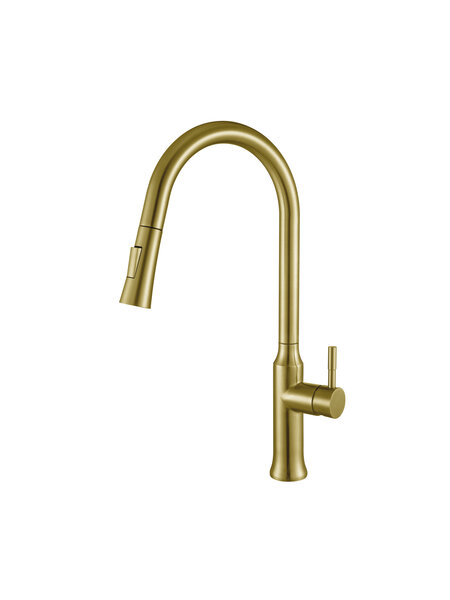 Brushed Gold Kitchen Faucet Delano Series