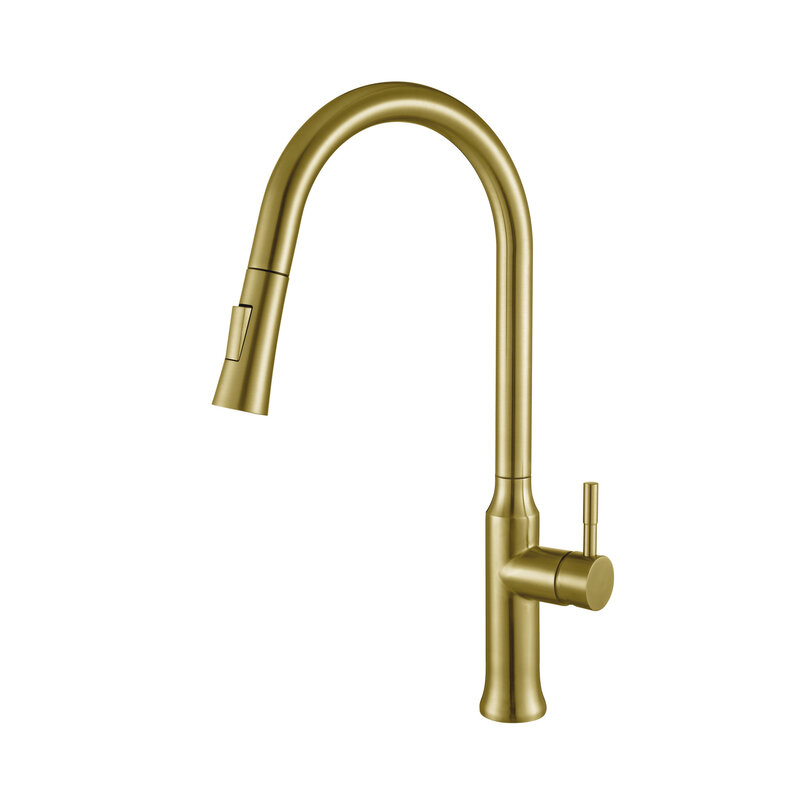 Brushed Gold Kitchen Faucet Delano Series