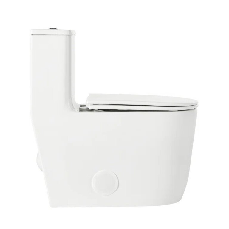 Toilette Monopièce Série Madison 12''