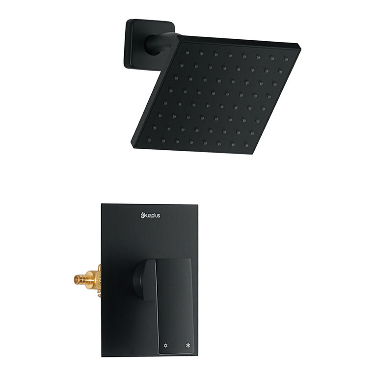 Robinet de douche Noir Akuaplus 2000BL