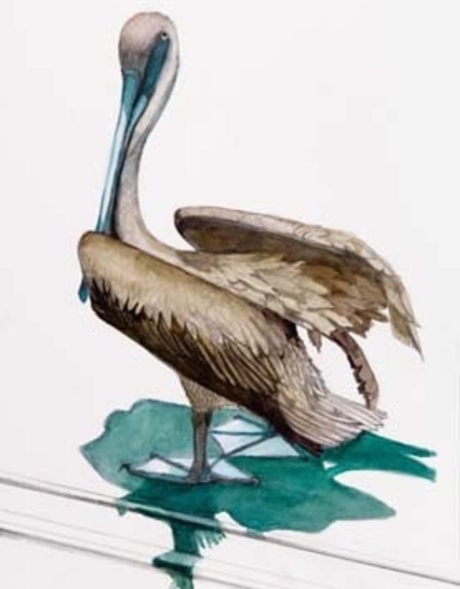 Aileen Malcolm "Pelican" Limited Edition Giclee Print by BVI Artist Aileen Malcolm