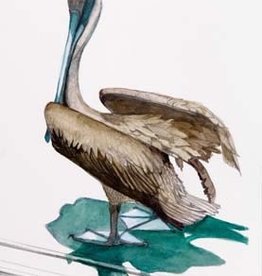 Aileen Malcolm "Pelican" Limited Edition Giclee Print by BVI Artist Aileen Malcolm