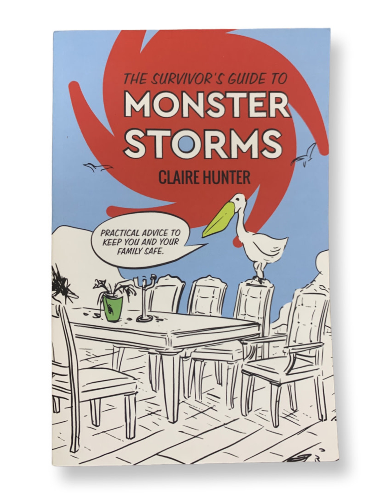 Book - Survivor's Guide to Monster Storms by Claire Hunter