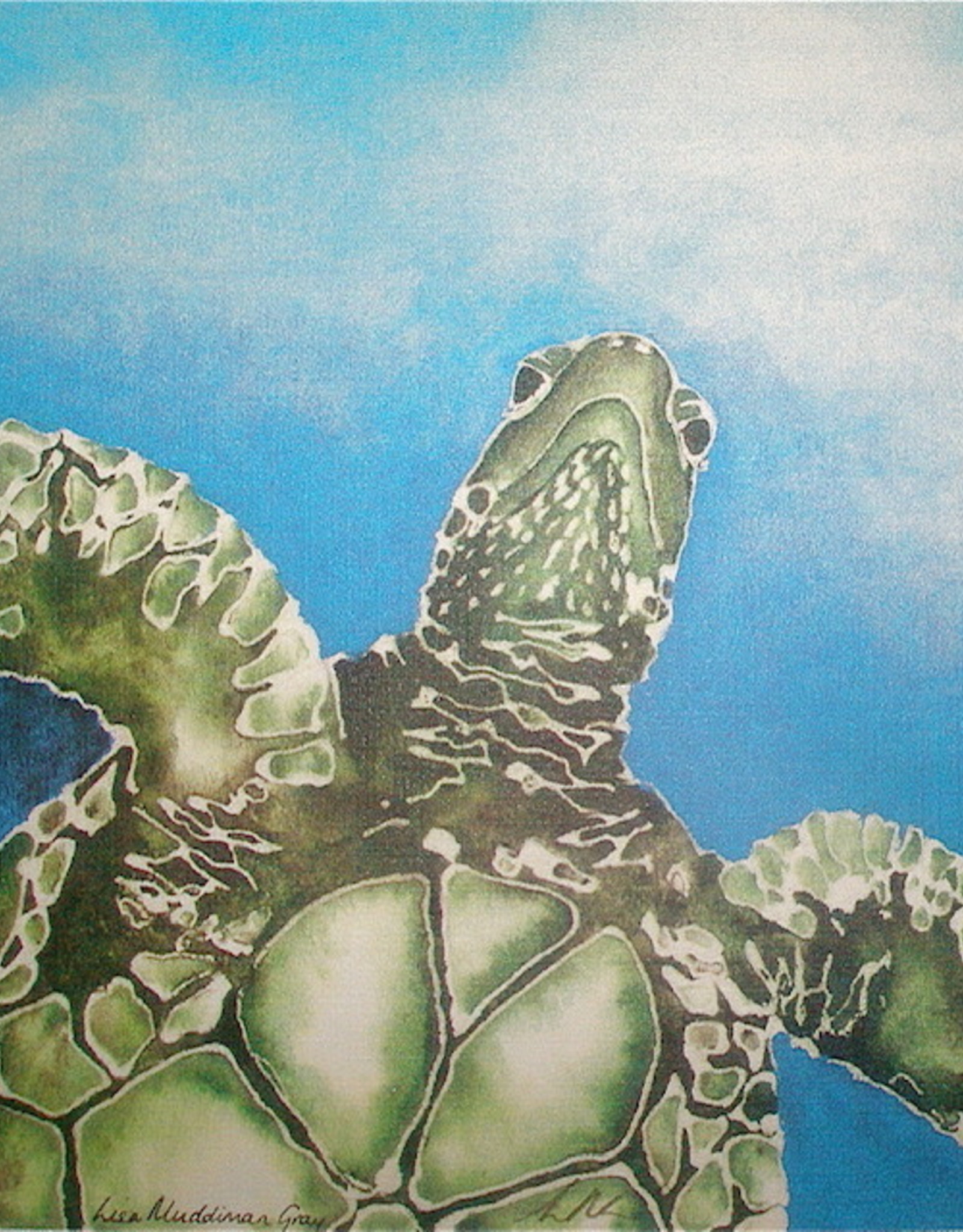 Lisa Muddiman Gray Art Print - Lisa Muddiman Gray "Green Sea Turtle" Matted Med 10" x 10"